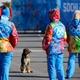 Illustration for article titled Motel For Stray Dogs Near Sochi Has Roughly 100 Occupants